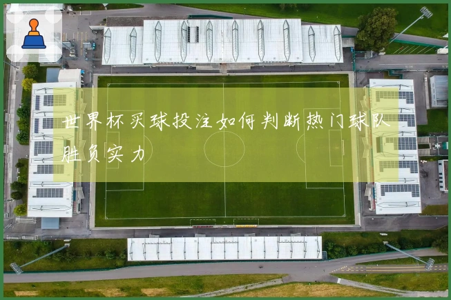 世界杯买球投注如何判断热门球队胜负实力