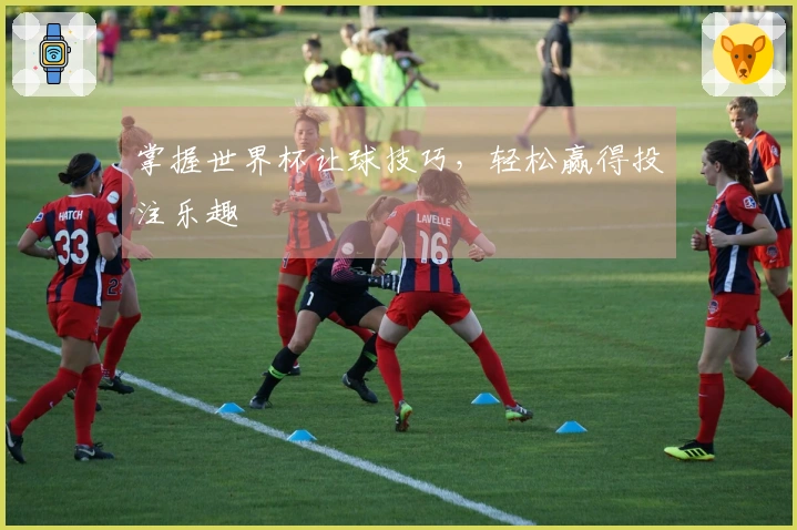 掌握世界杯让球技巧，轻松赢得投注乐趣