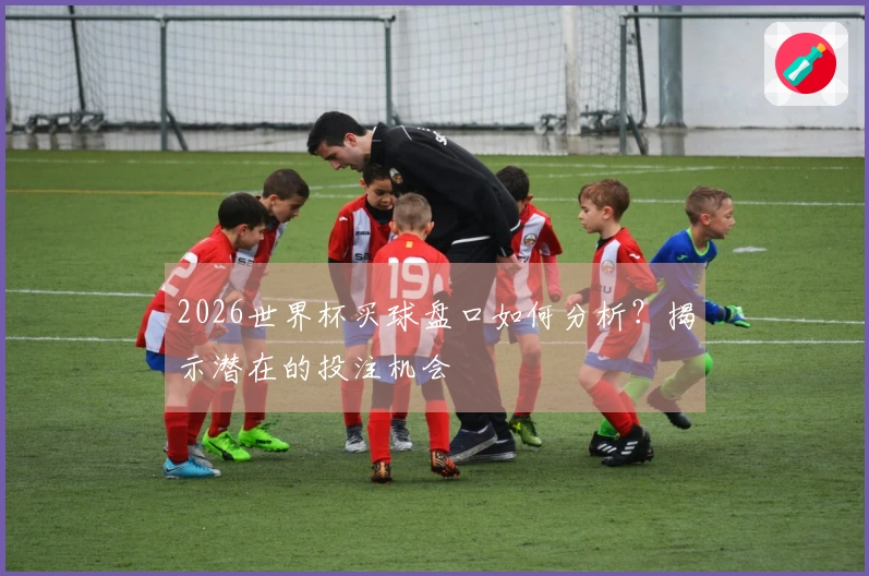 2026世界杯买球盘口如何分析？揭示潜在的投注机会