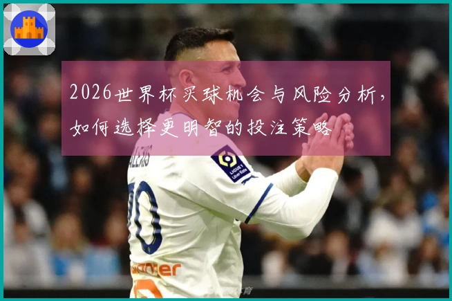 2026世界杯买球机会与风险分析，如何选择更明智的投注策略