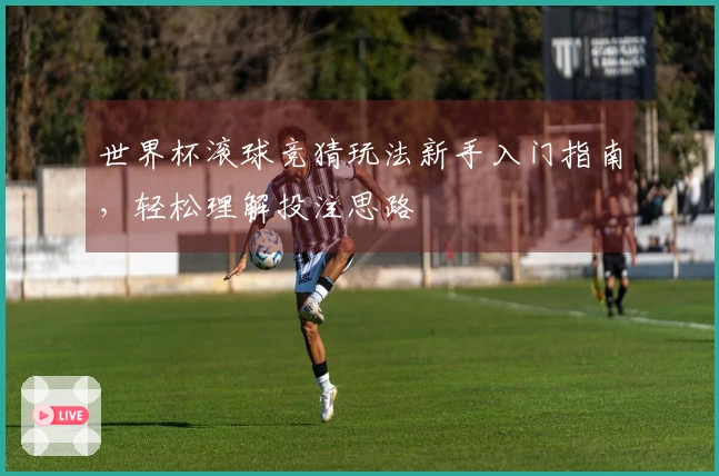 世界杯滚球竞猜玩法新手入门指南，轻松理解投注思路