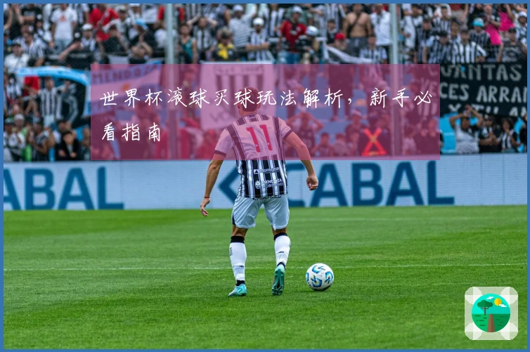 世界杯滚球买球玩法解析，新手必看指南