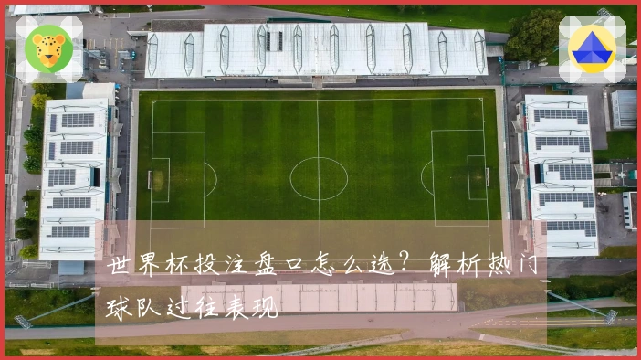 世界杯投注盘口怎么选？解析热门球队过往表现