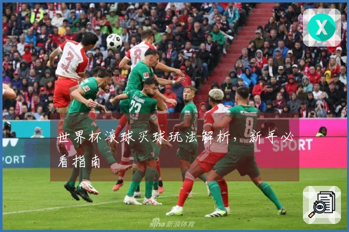 世界杯滚球买球玩法解析，新手必看指南