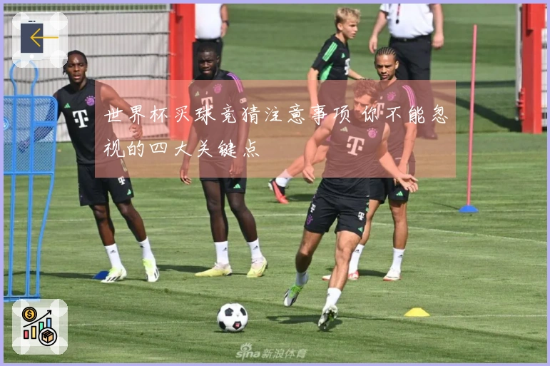 世界杯买球竞猜注意事项 你不能忽视的四大关键点