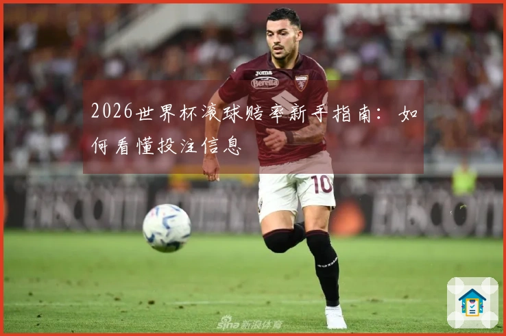 2026世界杯滚球赔率新手指南：如何看懂投注信息